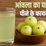 आंवला नहीं, उसका पानी भी है सेहत का वरदान – जानें सही तरीका